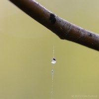 /album/galerie-photos/frida-dumont-img-4370-jpg/